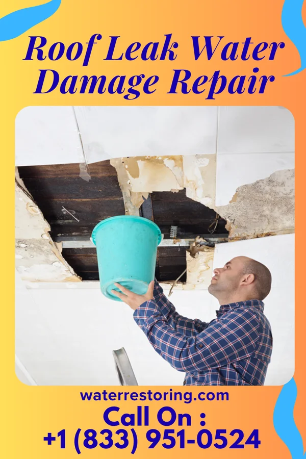 Roof Leak Water Damage Repair in Central, SC