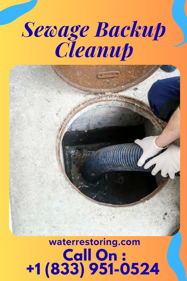 Sewage Backup Cleanup in Central, SC