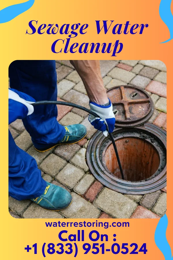 Sewage Water Cleanup in Central, SC